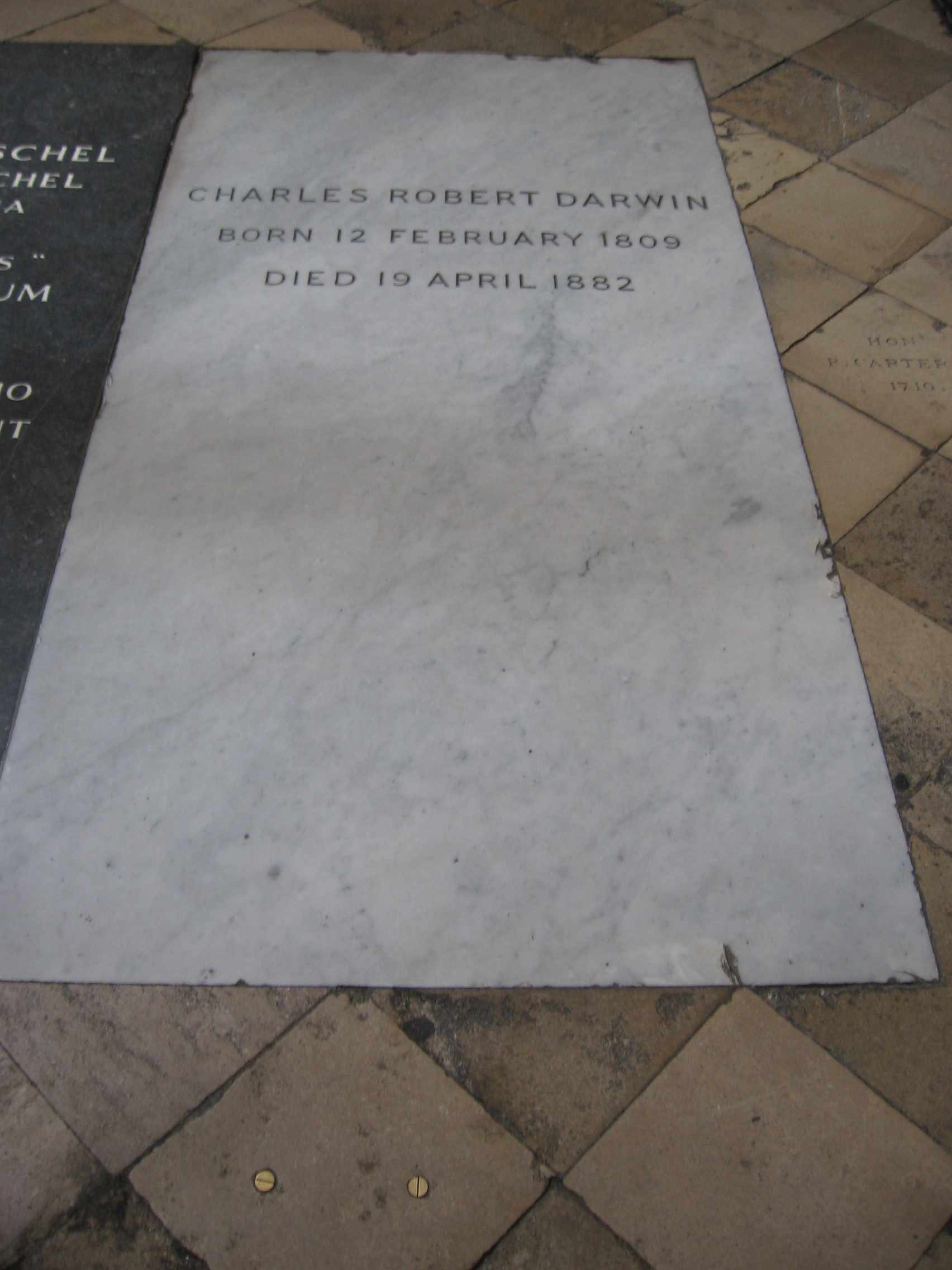 Darwin buried.JPG
