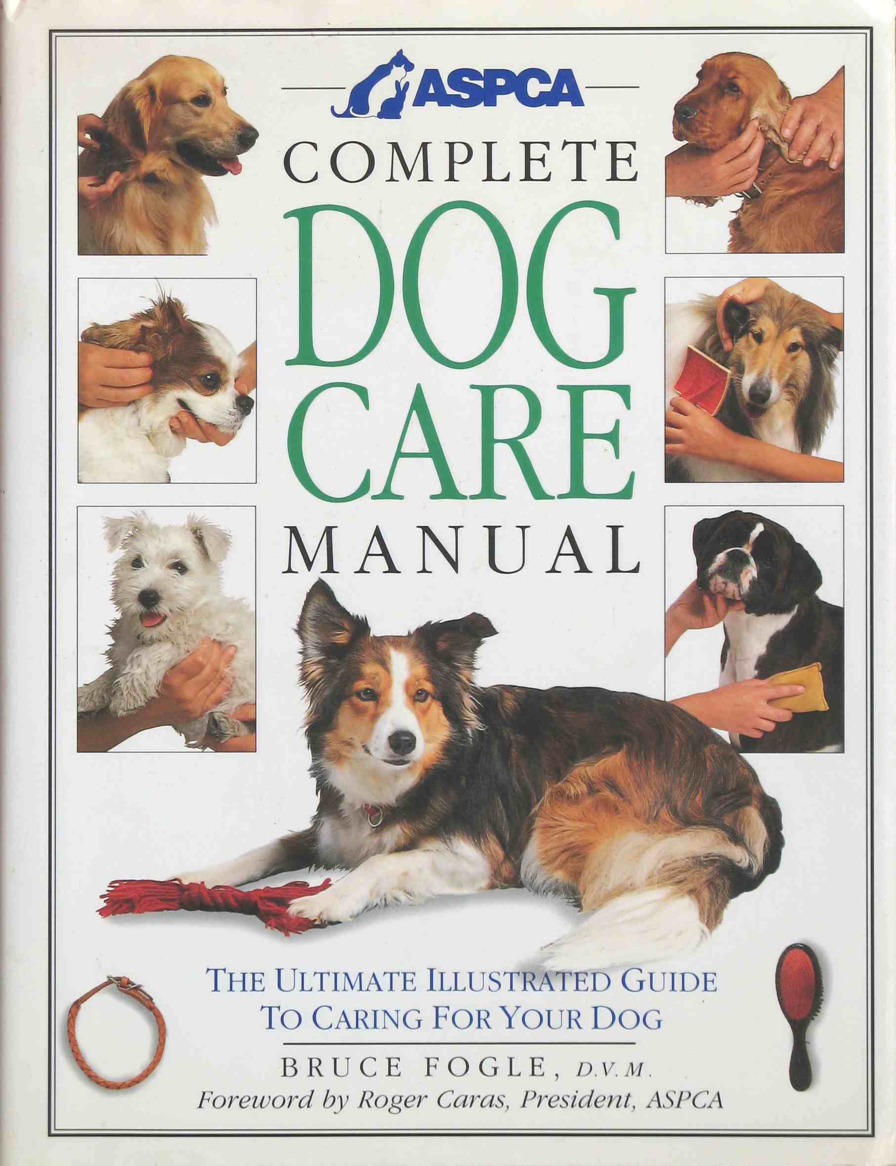 We should raise children like we raise dogs 1 dog book.jpg