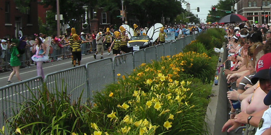 Bees Are Grand bild0614
