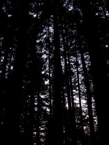 img_2757 img 2757