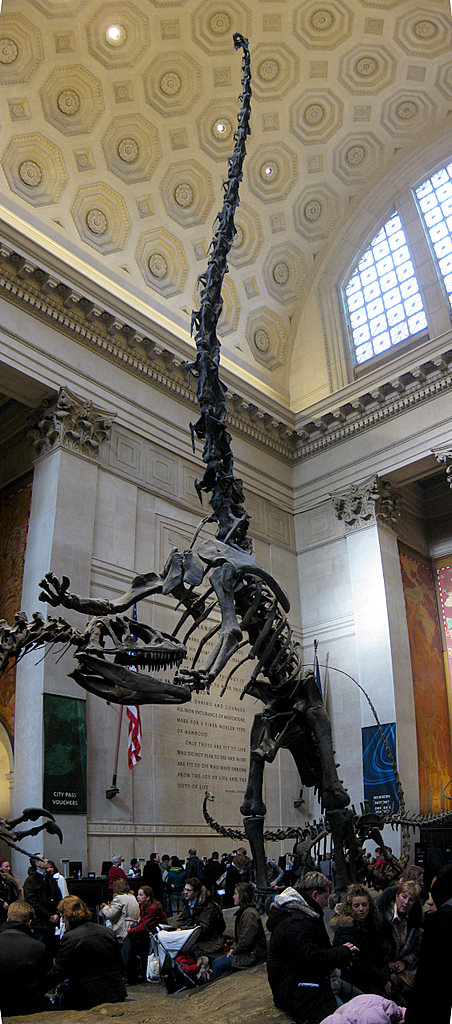 bronto-upright bronto upright