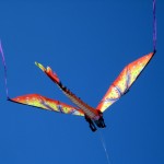 kite kite