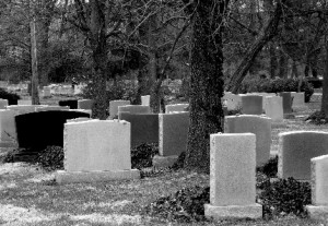 cemetery Image by Erich Vieth