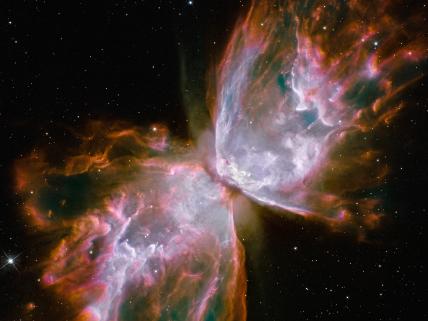 Image by NASA (public domain)