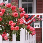 picket-fence-sister72 Image by sister72 at Flickr