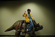 180px-creation_museum_triceratops_saddle Wikimedia Commons Image