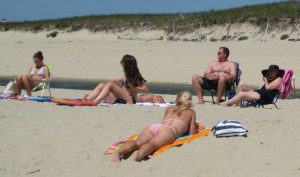img_3219 img_3219