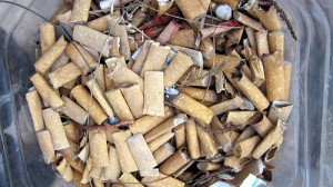 cigarette butts cigarette butts