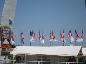 IMG 7174