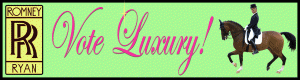 VoteLuxury bumper sticker
