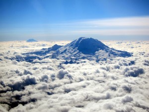 IMG_7950 IMG 7950