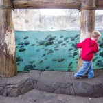 Having more fun with photos using Lightroom 4 7 fish and boy