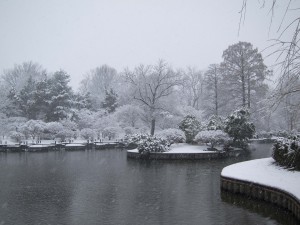 IMG_9336 Snow MBG - evv