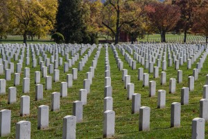 IMG_3947 graves - low res