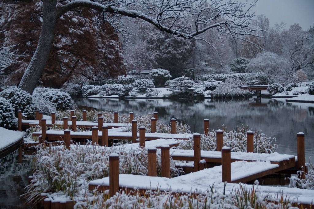 IMG_1468 MBG Snow