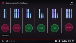 Paradox Institute: Debunking Transgender Myths 